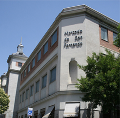 MERCADO DE SAN FERNANDO